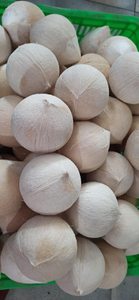 Coco entero pulido de Vietnam, Coco fresco pelado, Cocos proaspat lustruit (WA +84914319488) - Product Image 6