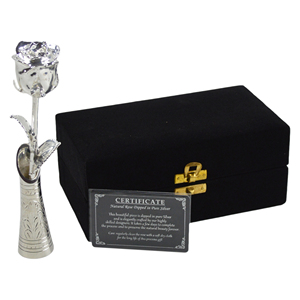 2026 Fresh Real Rose Silver Dipped Finishing Real Rose With Highly Design and Luxury Box Packing Best for Gift - Product Image 2