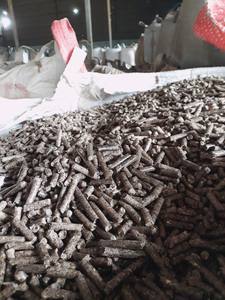 Pellets de Cáscara de Anacardo GreenPineVN (Forma de Barra) al por Mayor para Sistemas de Calefacción de Calderas de Lecho Fluidizado con Cadena de Rejillas, Agricultura - Product Image 3