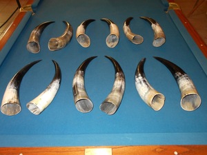 Par de Cuernos de Búfalo Pulidos para Decoración de Pared, Diseño Art Deco, Grandes de 27 a 35 Pulgadas, para Bodas, Cumpleaños, Aniversarios - Product Image 3