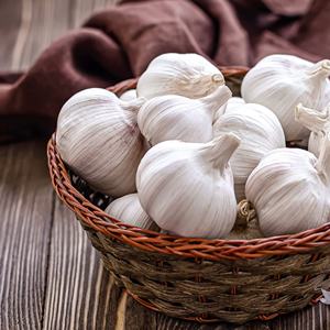 Ajo Fresco Orgánico de Alta Calidad para Venta al por Mayor, Suministro a Granel Natural y Limpio, Certificado HACCP, Perfecto para Pedidos Industriales de Alimentos, Precio Bajo - Product Image 5