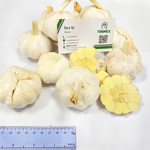 Ajo Vietnamita Fresco Natural, Bulbos Enteros, Calidad Premium, Procesamiento de Alimentos Blancos, Importadores Mayoristas Internacionales, Marca TINIMEX - Product Image 3