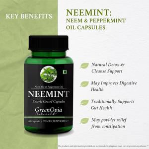 นีม เปปเปอร์มินต์ 60 แคปซูลเจลลี่บรรจุของเหลวเคลือบเอนเตอร์ติกสำหรับผู้ทานมังสวิรัติ |   ผลิตภัณฑ์เสริมอาหารสมุนไพร - Product Image 2