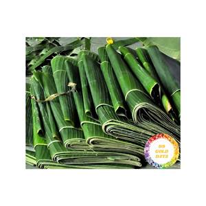 Feuilles de bananier fraîches de qualité supérieure en vrac, grandes, vertes, premium, pour la cuisine traditionnelle, emballage, feuilles de bananier fraîches naturelles pour l'exportation - Product Image 4