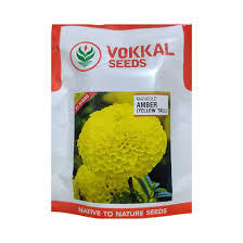 Semillas de Caléndula Alta Premium de Alta Germinación para Cultivo Comercial y Jardín Doméstico - Product Image 4