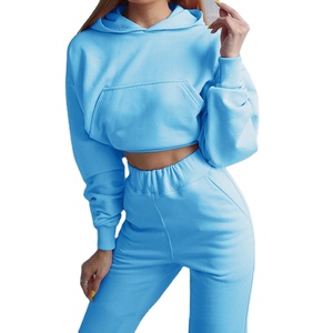 Vêtements de sport personnalisés pour l'hiver Survêtements en velours pour filles Sweatshirts en velours pour femmes Survêtements OEM Velvet Sweatsuit 2026 - Product Image 6