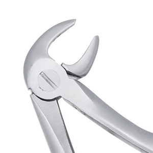 คีมถอนฟันเด็ก 1C Pedo Lower Incisors ทำจากเหล็กกล้าไร้สนิม สำหรับการผ่าตัดทางทันตกรรมเด็ก อุปกรณ์ถอนฟัน - Product Image 5