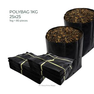 <b>Polybag</b> Grow Bags 25x25cm Black PE Reusable PE Nursery Grow Bag for Seedling Agriculture Plant Cultivation - Product Image 6
