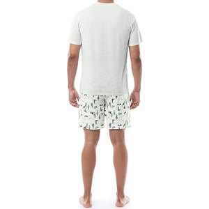 Men's Summer Casual Short <b>Set</b> 100% Polyester Short Sleeve T-shirt And Shorts 2pcs Quick Dry Silk Screen Printed With Custom Logo - Product Image 2