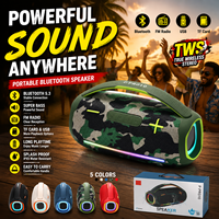 Enceinte portable sans fil PRO10 RGB avec sangle de transport, pour camping en extérieur, son puissant et robuste, vente en gros