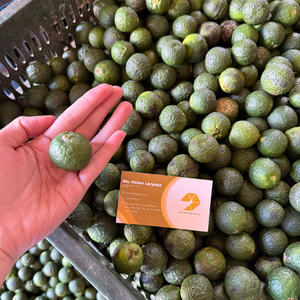 Écorces d'orange authentiques du Vietnam pour garnitures de pâtisserie professionnelles et la création d'une eau d'agrumes unique par 99 Gold Data - Product Image 2