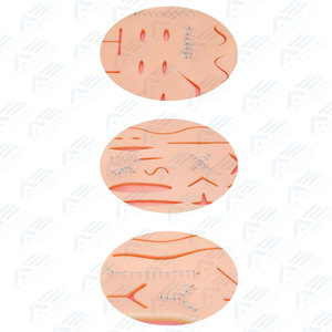 Para estudiantes de medicina veterinaria, almohadilla y Kit de práctica de sutura de acero inoxidable, difícil de romper para enfermeras veterinarias, Kit de sutura - Product Image 6