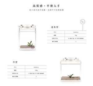 Hormiguero Rectangular de Arena Gris para Microhormigas con Material Acrílico Ecológico para Pequeñas Colonias en la Sala de Estar - Product Image 3