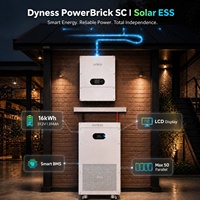 Batterie Dyness Powerbrick SC 51.2V 300Ah LifePO4 16kWh pour système solaire domestique, BMS intelligent, 8000 cycles, 50 unités en parallèle, Can/Rs485