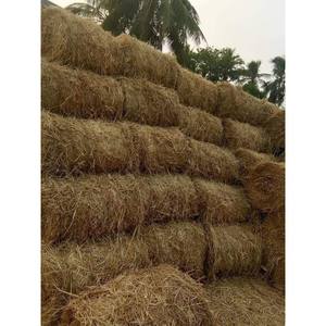Forros de Paja de Arroz GIA GIA NGUYEN, Control de Humedad, Productos Agrícolas para Comederos de Animales, Vietnam - Product Image 3