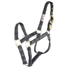 Factory Wholesale Custom Design 100% Nylon Halter Horse in Many Colors Personalized logo with Solid Brass Hardware - Product Image 6