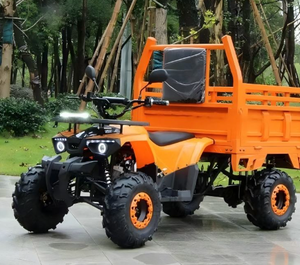 ATV Agrícola de 125CC 150CC con Transmisión Automática de 4 Tiempos, Remolque/Portaequipajes, Capacidad de Carga Útil de 300-400 kg, Motor de Gasolina/Diésel de >1000W - Product Image 3
