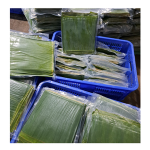 Fournisseur vietnamien de feuilles de bananier congelées pour les grossistes alimentaires internationaux, les importateurs et les entreprises de distribution - Product Image 4