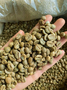 เมล็ดกาแฟโรบัสต้าออร์แกนิกเวียดนาม S18 สำหรับผู้ค้าส่งกาแฟคุณภาพสูง ได้รับการรับรองมาตรฐาน USDA และ ISO 22000 - Product Image 1