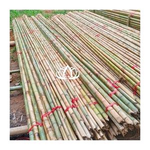 FAVORITO DE LOS CLIENTES 2026: Caña de Bambú, Fuente Segura y Limpia para Soporte Estructural y Decoración, Resistente, Fiable y Fácil de Guardar - Product Image 1