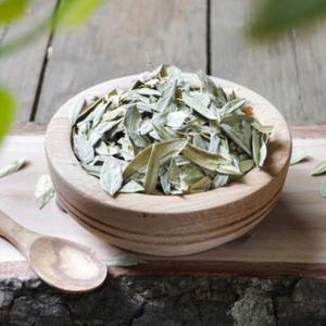 Feuilles de Séné Séchées en Vrac Biologiques Fournisseur Exportateur Haute Pureté Laxatif Naturel à Base de Plantes pour Mélanges de Thé et Digestion - Product Image 2