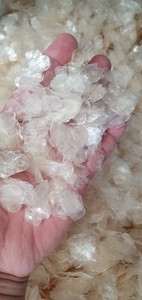 Escamas de Pescado Secas Grado A 100% Naturales Sin Aditivos Materia Prima para Extracción de Colágeno Vietnam (VIET DELTA COMPANY) - Product Image 3