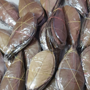 Hojas de Catappa Indias Ecológicas al por Mayor de 16-20 cm para Limpieza de Peces, Productos para Mascotas, Paquete de 20 (6.3-7.87 pulgadas) para Sala de Estar/Escritorio - Product Image 6