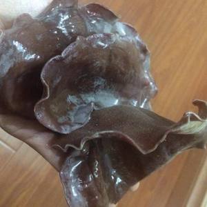 Champignons noirs entiers séchés (Wood Ear Mushroom, Cloud Ear Fungus) - Product Image 3