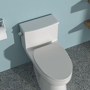 WC in ceramica monopezzo con singolo filo e seduta di chiusura morbida - Product Image 1