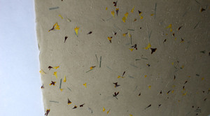 Feuilles de papier de jardin ivoire 80 GSM pour l'art et l'artisanat, pétales de fleurs et herbe hachée fine, compatibles sérigraphie, en pâte de cellulose - Product Image 2