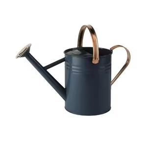 Arrosoir décoratif en métal pour plantes d'intérieur et d'extérieur - Product Image 3