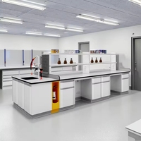Sistema de Mobiliario de Laboratorio de Acero Pintado, Banco Central de Laboratorio con Gabinetes Metálicos para Laboratorios de Química