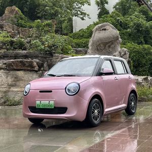 Vehículos Eléctricos de Baja Velocidad, Sedán Automático Económico con Interior Claro, Volante a la Izquierda, Cámara Trasera, Asientos de Cuero - Product Image 5