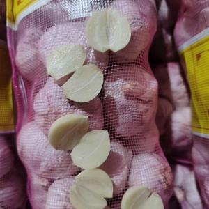 Poudre d'ail de qualité supérieure la plus vendue, 100 % issue de bulbes d'ail, fabriquée par Vietnam-Viet Delta Co. LTD - Product Image 5