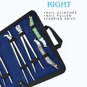 Kit de Herramientas de Primera Calidad para el Cuidado de Pezuñas de Herrador: Alicates para Afilar Pezuñas, Herramienta Curva para Clavos, Probador de Pezuñas, Extractor de Clavos de Alta Resistencia, Martillo para Herraduras - Product Image 4