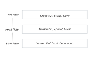 Déodorant en spray corporel 60ml Soin quotidien contre les odeurs Parfum boisé frais Frost Reiss - Product Image 2