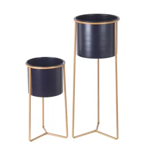 Modern Metal Flower Stands with Gold <b>Frame</b> and Black Pots for Indoor <b>Plants</b> Minimalist Design - Product Image 1