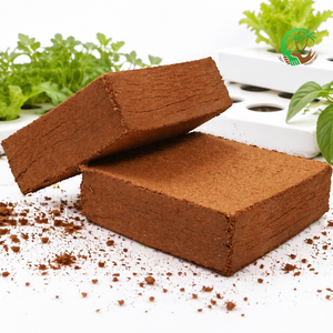UAE Supply 5Kg Cocopeat Blocks Low EC Buffered Coir Pith High Expansion Bulk Export Supplier Middle East Market From India - Product Image 2