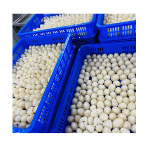 Lychees entiers surgelés IQF sans sucre ajouté, emballage sous vide, qualité supérieure, fruits tropicaux en gros, 99 Gold Data Ha Giang - Product Image 1