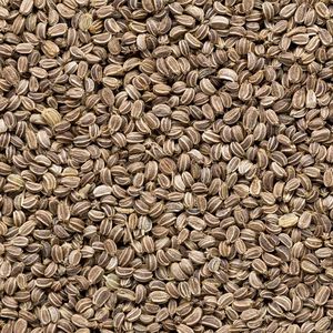 Semillas de Apio Enteras Naturales, Certificadas por FSSAI, Frescas, Crudas, Aromáticas, con 12 Meses de Vida Útil - Product Image 1