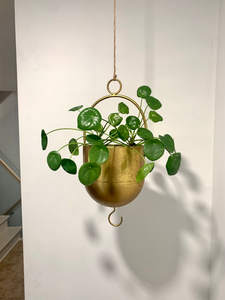 Pot suspendu en métal doré avec anneau circulaire, design moderne, pour plantes d'intérieur, décoration contemporaine pour la maison - Product Image 2