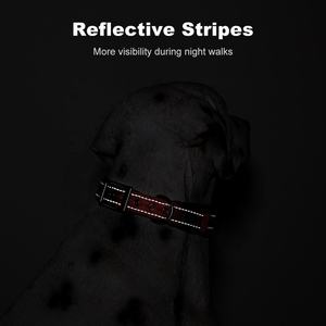 Collier pour chien en nylon tactique rembourré et réglable de 2 pouces, robuste, avec poignée et rivets imprimés – Offre Spéciale - Product Image 3