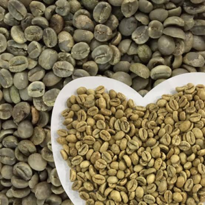กาแฟโรบัสต้าเวียดนามที่ยั่งยืน, รับผลิตแบบ OEM ODM สำหรับการส่งออกจำนวนมาก, เมล็ดกาแฟดิบธรรมชาติ, ความชื้น 12%, ขั้นต่ำในการสั่งซื้อ 100 กิโลกรัม - Product Image 1