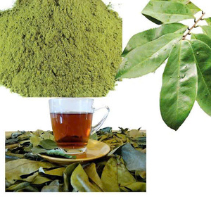 Té Negro Orgánico Fermentado de Guanábana, Sin Azúcar, Saludable, 50gr, 25 Bolsitas de Té/Caja, Grado A, EXPAD CO Binh Phuoc - Product Image 6