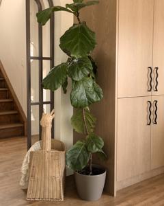 Handwoven Rattan Giraffe Storage <b>Basket</b> Eco Friendly <b>Animal</b> Toy Organizer for Kids Nursery Baby Room Home Decoration - Product Image 5