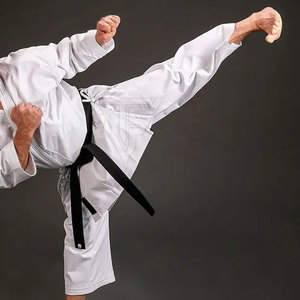 Servicio OEM, Uniforme de Karate Transpirable de Manga Larga Unisex de Poliéster/Algodón, para Prácticas de Artes Marciales, Academias y Clases - Product Image 5