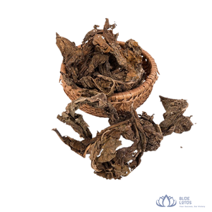 GRAN VENTA |   Hojas de Papaya Secas Premium, Té de Hojas en Rodajas, Envasado al Vacío para Extracción de Bebidas y Cocina, de Blue Lotus - Product Image 1