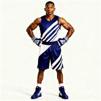 Ensemble de boxe imprimé Lion Vert Or, vêtements d'entraînement en polyester avec gants, shorts et haut durables pour toutes les saisons