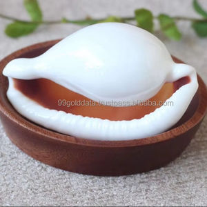 Conchas de Cauri Blancas Grandes al por Mayor para Decoración del Hogar, Conchas Pulidas de Vietnam para Manualidades y Decoración del Hogar - Product Image 6