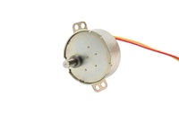 Moteur synchrone miniature à aimant permanent 49TYJ-H 220V, accessoire pour barbecue, moteur pour rôtissoire de grande capacité